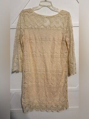 Max Studio Cream Lace Long-Sleeve Shift Dress